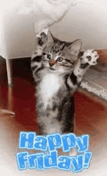 a kitten is standing on its hind legs with its paws in the air and a happy friday greeting .