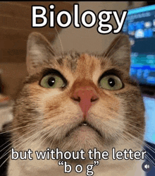 a close up of a cat 's face with a caption that says `` biology but without the letter '' .