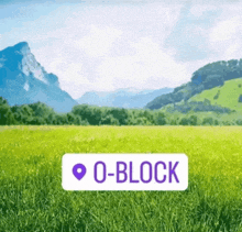 a green field with mountains in the background and a purple sticker that says o-block