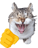 a cat with its mouth open and a yellow fist with the letter m on it