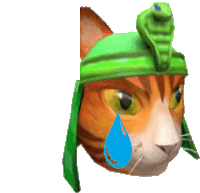 a cat is wearing a green helmet with a snake on it