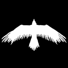 a silhouette of a bird with its wings spread on a black background