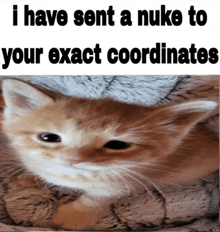 a cat laying on a blanket with a caption that says i have sent a nuke to your exact coordinates