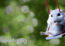 a hamster is sitting on a swing with a green background and a foreign language written on it