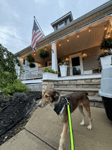 a dog on a leash is standing in front of a house