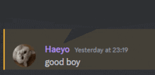 a speech bubble says haeyo yesterday at 3:19 good boy