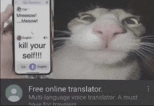 a cat is holding a phone that says kill your self on it