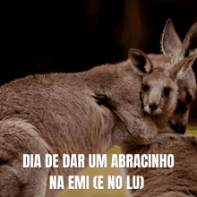 a kangaroo with a baby in its pouch and the words dia de dar um abracinho na emi ( e no lu )