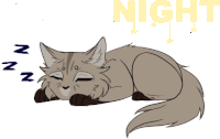 a drawing of a cat sleeping under the words night