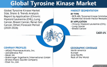 a global tyrosine kinase market report with company profiles geographic coverage and by type