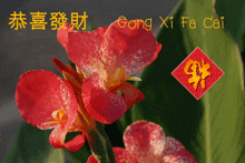 a gong xi fa cai greeting card with flowers in the background