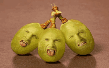 a bunch of grapes with faces on them including one with a tongue out