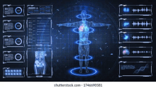 a futuristic display of a man 's body with various organs