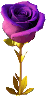 a purple rose with gold leaves is against a white background