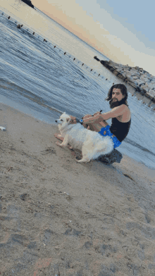 a man sits on the beach with a dog