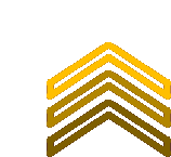 three yellow and brown arrows pointing up on a white background