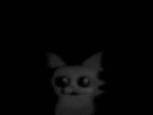 a black and white photo of a cat with big eyes looking at the camera in the dark .