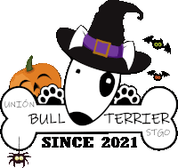 a bull terrier wearing a witch hat with a pumpkin and bats behind it