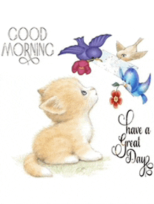 a good morning card with a kitten looking up at flowers