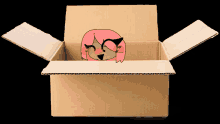 a cardboard box with a drawing of a girl with pink hair