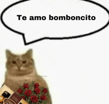 a cat is holding a bouquet of roses and a box of ferrero rocher chocolates .