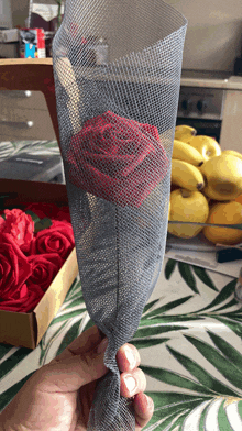 a person is holding a red rose wrapped in a gray mesh