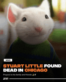 a white mouse wearing a green and blue sweater with the words stuart little found dead in chicago below it