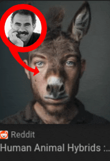 a picture of a man with a donkey 's head and the words human animal hybrids