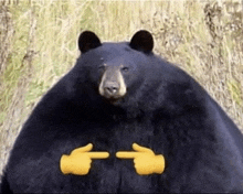 a black bear is standing in a field with two yellow hands pointing at it .