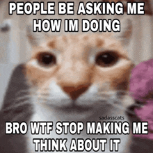 a picture of a cat with a caption that says people be asking me how im doing bro wtf stop making me think about it