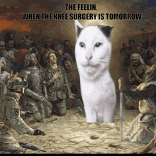 a painting of soldiers and a cat with the caption " the feelin "