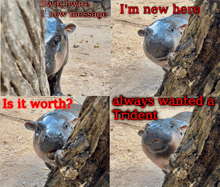 a hippopotamus is peeking out from behind a tree with the caption switchwire i new message