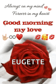 a picture of a red rose with the name eugette on it