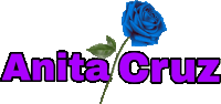 a logo for anita cruz with a blue rose in the background