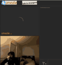 a screenshot of omegle shows two people chatting