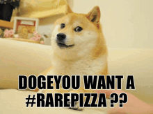 a dog sitting on a couch with the words dogeyou want a #rarepizza