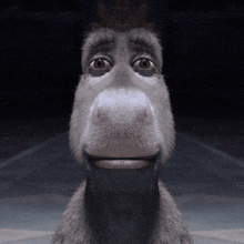 a cartoon donkey with a crown on its head