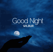 a silhouette of a hand reaching for the moon with the words good night wilbur