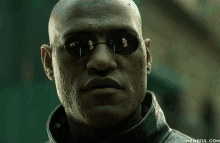 a bald man wearing sunglasses and a leather jacket looks at the camera .