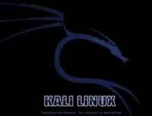 a picture of a dragon on a black background with the words `` kali linux '' on it .