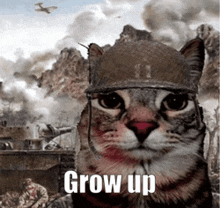 a cat wearing a military helmet with the words grow up on the bottom