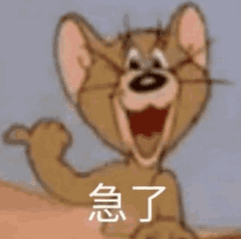 a close up of a cartoon cat with chinese writing on it .