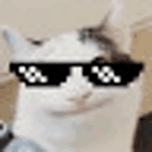 a close up of a cat wearing sunglasses with a pixelated face .