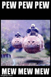 a stormtrooper is riding on the back of a cat .