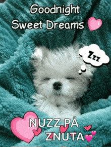 a picture of a puppy with the words goodnight sweet dreams