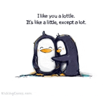 a couple of penguins hugging each other with the words " i like you a lot "