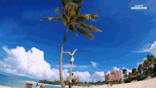 a man and woman are doing a handstand on a palm tree on a beach with the word awesome behind them