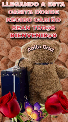 a teddy bear is holding a suitcase with the name anita cruz on the back