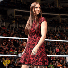 a woman in a leopard print dress stands in a wrestling ring with the number 104 behind her