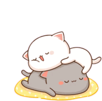 a white cat is laying on top of a gray cat on a yellow pillow .